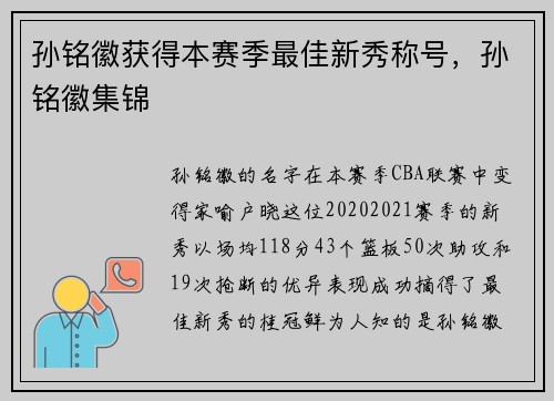 孙铭徽获得本赛季最佳新秀称号，孙铭徽集锦