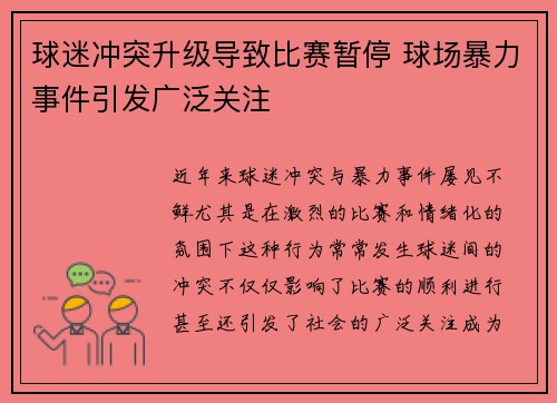 球迷冲突升级导致比赛暂停 球场暴力事件引发广泛关注